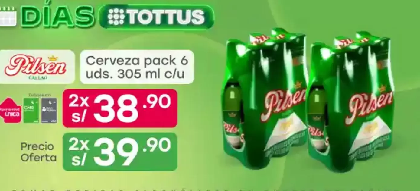 Pilsen - Cerveza pack 6 uds. 305 ml c/u