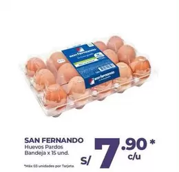 San Fernando - Huevos Pardos Bandeja