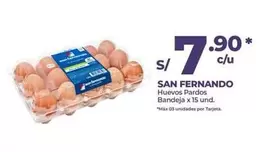 San Fernando - Huevos Pardos Bandeja