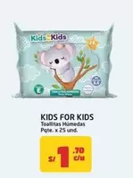Toallitas Húmedas