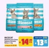 Ricocat - RICOCAT
