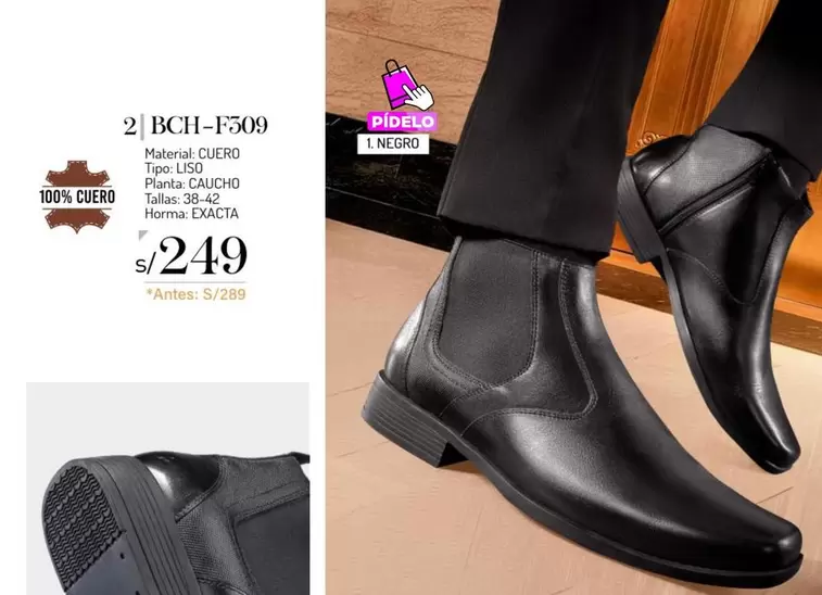 BCH-F709