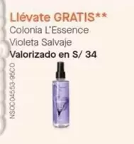 Salvaje - Colonia L'Essence Violeta Salviae