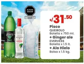 Evervess - Pisco Queirolo + Ginger Ale + Alo Hielo