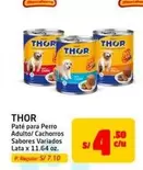 Thor - Paté para Perro