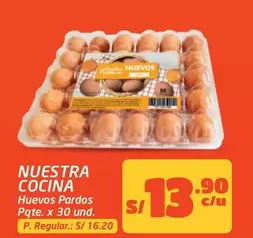 Huevos Pardos