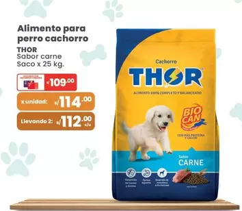 Thor - Alimento para perro cachorro Sabor carne