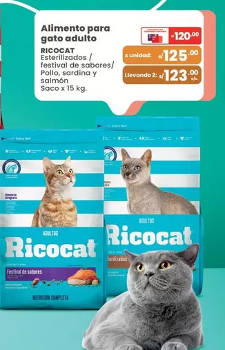 Gato - Alimento para gato adulto
