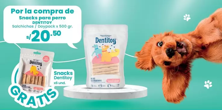 Dentitoy - Snacks para perro