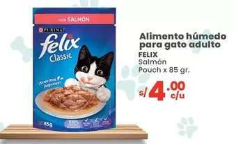 Gato - Alimento húmedo para gato adulto