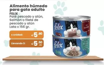 Gato - Alimento húmedo para gato adulto