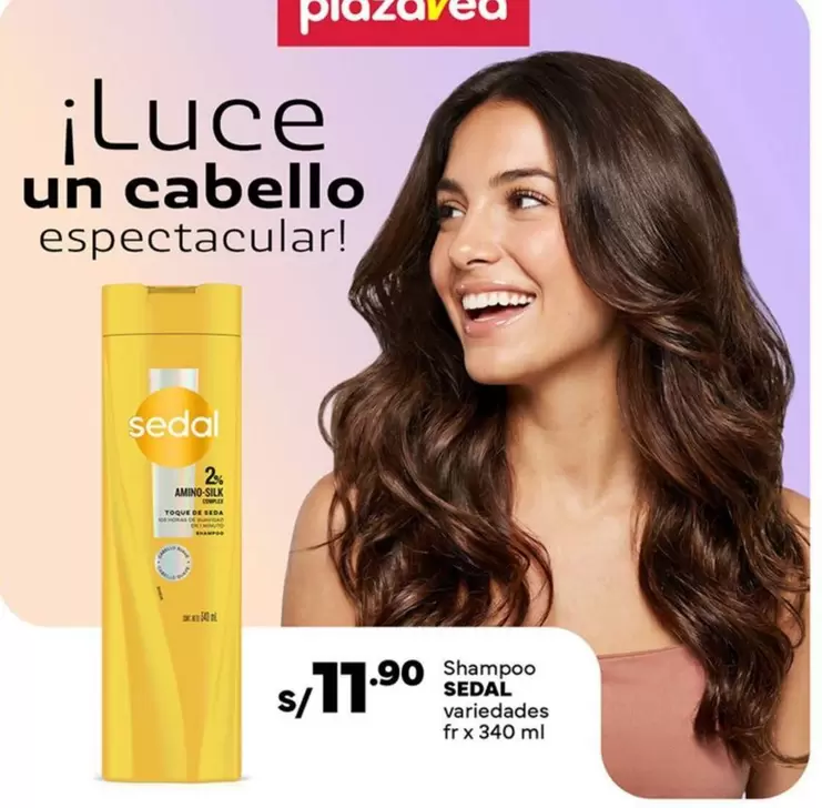 Sedal - Shampoo