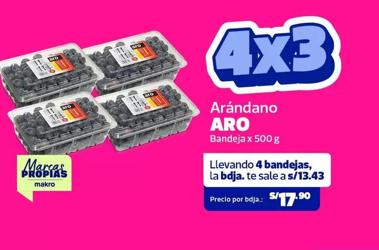 Aro - Arándano