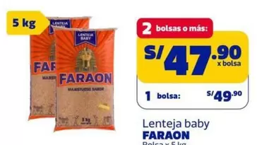 Faraon - Lenteja baby
