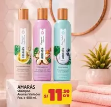 Amar - Shampoo Aromas Variados