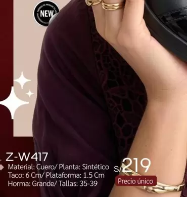 Z - W417