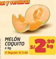 MELÓN COQUITO