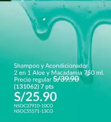 PTS - Shampoo y Acondicionador 2 en 1 Aloe y Macadamia