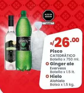 Evervess - Pisco Catedrático Botella + Ginger Ale Botella + Hielo Alohielo Bolsa