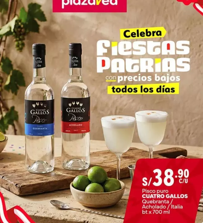 Gallo - Pisco Cuatro s Quebranta / Italia