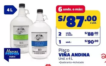 Viña Andina - Pisco