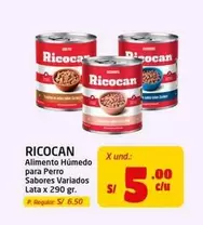 Ricocan - Alimento Húmedo para Perro Sabores Variados Lata