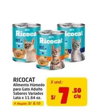 Ricocat - Alimento Húmedo Para Gato Adulto