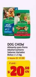 Dog Chow - Alimento para Perro Adulto/Cachorro Sabores Variados Bolsa