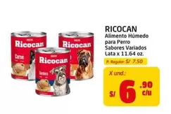 Ricocan - Alimento Húmedo para Perro Sabores Variados Lata