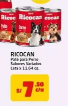 Ricocan - Pate para Perro Sabores Variados