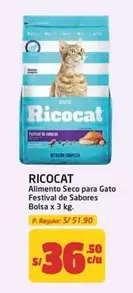 Ricocat - Alimento Seco para Gato Festival de Sabores Bolsa