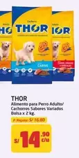 Thor - Alimento para Perro Adulto/Cachorros Sabores Variados