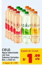 Cielo - Agua Saborizada con Gas Sabores Variados Bot. x 600 ml