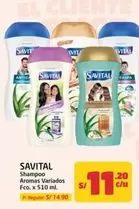 Savital - Shampoo Aromas Variados