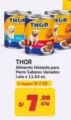 Thor - Alimento Húmedo para Perro Sabores Variados Lata