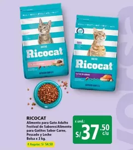 Ricocat - Alimento para Gato Adulto Festival de Sabores/Alimento para Gatitos Sabor Carne, Pescado y Leche