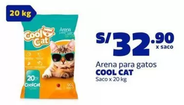 Cat - Arena para gatos