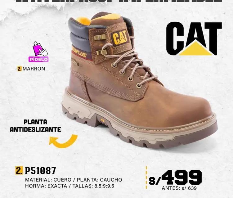 Cat - P51087