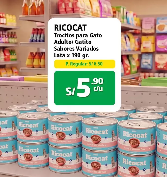 Cat - Trocitos para Gato Adulto/Gatito