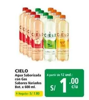 Cielo - Agua Saborizada con Gas