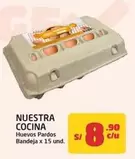 Huevos Pardos