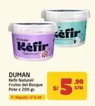 Natural - Kefir / Frutos del Bosque