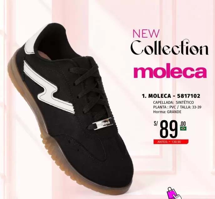 MOLECA - 5817102