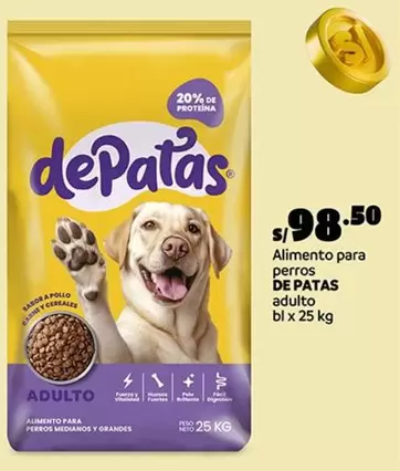 Alimento para perros adulto