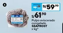 Seafrost - Pulpo eviscerado congelado