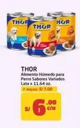 Thor - Alimento Húmedo para Perro Sabores Variados Lata
