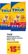 Thor - Alimento para Perro Adulto Sabores Variados