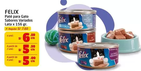 Gato - Paté para Sabores Variados Lata