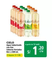 Cielo - Agua Saborizada con Gas Sabores Variados
