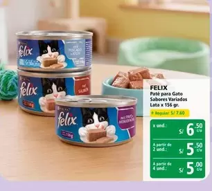 Gato - Paté para Sabores Variados